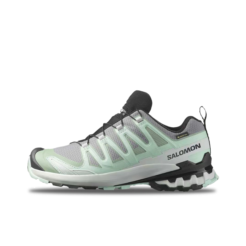 حذاء سالومون XA Pro 3D V9 GTX: - مراجعة Salomon Shoes Xa Pro 3D وسعره